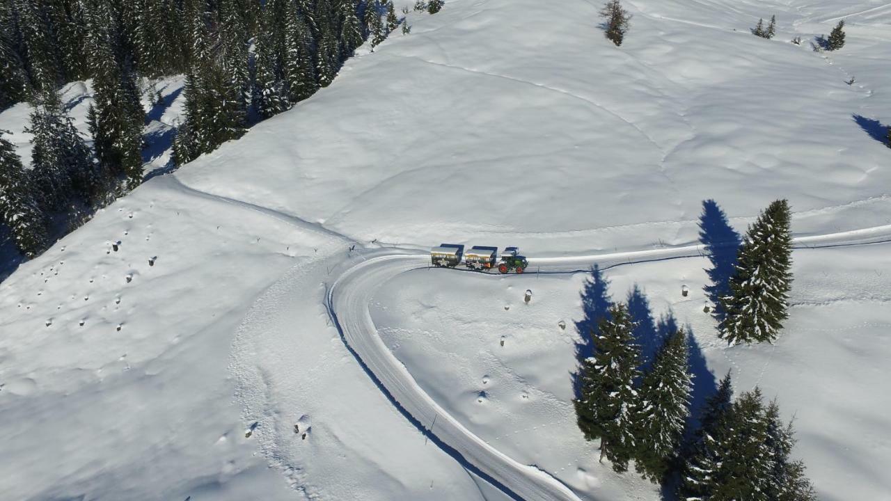Ski In-Ski Out - Gaestehaeuser Saalbach-Hinterglemm - Wallegghof Christianhof Экстерьер фото